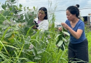 Theo dấu thảo dược – Hành trình thầm lặng của hai nữ tiến sĩ