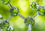 Hợp chất nấm chống ung thư được tổng hợp thành công sau 55 năm