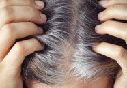 Mỗi sợi tóc bạc có thể là dấu hiệu cơ thể tự bảo vệ khỏi ung thư