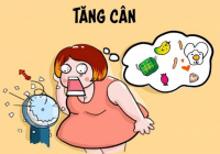 Làm thế nào để loại bỏ các loại hormone khiến chúng ta tăng cân quá mức?