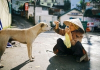 Cụ bà 83 tuổi bầu bạn và nuôi chim trời, chó mèo nơi phố núi Đà Lạt