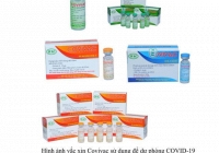 Dự kiến vaccine ngừa COVID-19 COVIVAC có giá không quá 60.000đ/liều