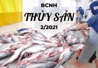 Báo cáo ngành hàng thủy sản tháng 2/2021: Xuất khẩu tôm tăng mạnh sang Nhật Bản