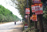 Bản tin nhà đất 24 giờ: Giới đầu tư săn lùng đất ngoại ô Hà Nội