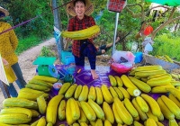 Thị trường thực phẩm ngày 28/4: Dưa gang trúng mùa, được giá