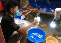 Triệt phá cơ sở sản xuất dầu gội, sữa tắm, nước giặt bằng 'công nghệ thùng phuy' ở Thanh Hóa