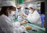 WB cảnh báo nguy cơ tiếp tục thu hẹp sản xuất do dịch COVID-19