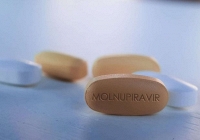 Thuốc kháng virus Molnupiravir có tỷ lệ âm hóa virus cao
