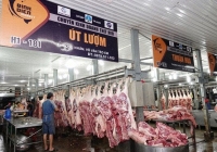 Những thương nhân từng là F0 được vận động trở lại chợ Bình Điền