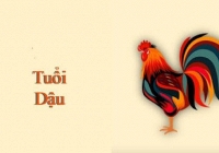 Tử vi năm 2022 tuổi Dậu: Không nên đầu tư lớn nhưng may mắn trong tình yêu