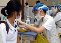 Có nên cho trẻ uống lá tía tô trước tiêm vaccine COVID-19 để giảm sốt?