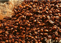 Giá cà phê xuất khẩu đạt mức cao nhất trong gần 4 năm
