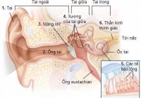 Nghiên cứu mới, người mắc COVID-19 có thể bị ảnh hưởng đến thính giác