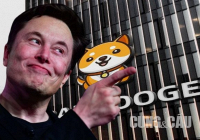 Baby Doge là gì? Có nên đầu tư đồng coin đang làm mưa làm gió trên thị trường?