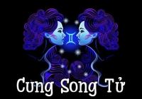 Tử vi tài chính năm 2022 cung Song Tử: Nên nắm bắt cơ hội đầu tư lớn 