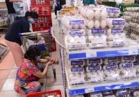 Giá trứng gia cầm giảm mạnh, người chăn nuôi lỗ vốn