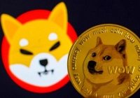 Shiba Inu và Dogecoin được tìm kiếm nhiều nhất trên Google Hoa Kỳ trong tháng 11