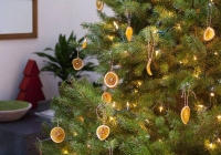 10 mẫu cây thông Noel đơn sắc tuyệt vời cho mùa lễ hội năm nay