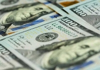 Giá USD ổn định sau chuỗi ngày tăng tốt