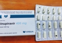 Thuốc điều trị COVID-19 Molnupiravir gây ảnh hưởng đến khả năng sinh sản