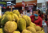 Sầu riêng miền Tây rớt giá, người trồng đứng trước nguy cơ lỗ nặng