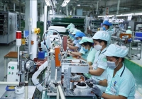 Việt Nam - Điểm sáng về tăng trưởng kinh tế trong khu vực