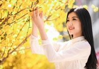 Tử vi Mùng 1 Tết ngày 1/2/2022 của 12 con giáp chi tiết nhất