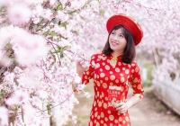 Tử vi Mùng 4 Tết ngày 4/2/2022 của 12 cung hoàng đạo chi tiết nhất