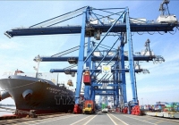 WB dự đoán Việt Nam đạt mức tăng thu nhập và thương mại cao nhất trong RCEP