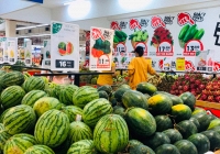 Thanh long dưa hấu còn 5.000 - 6.000 đồng/kg vì thị trường Trung Quốc bấp bênh