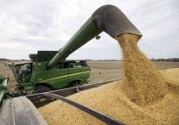 Xung đột Nga-Ukraina đẩy thế giới đến bờ vực khủng hoảng lương thực