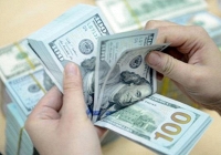 Giá USD hôm nay 30/3: Bắt đầu dễ thở hơn 