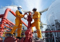 Cổ phiếu khuyến nghị phiên 7/4: GAS, SGP, ELC, BMP, HT1