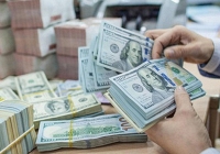 Giá USD hôm nay 13/4: Vẫn ở mức cao