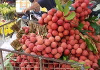 Vải thiều Việt Nam bán tại Mỹ, giá hơn 10 USD/kg