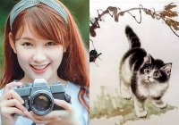 Tử vi năm 2023 tuổi Mão: Giữa năm có tài lộc bất ngờ