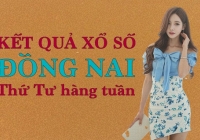 KQXSDN 3/8/2022: Trực tiếp xổ số Đồng Nai thứ Tư ngày 3/8/2022