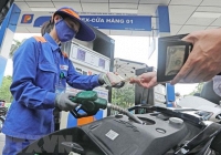 Giá xăng sẽ tiếp tục giảm trong phiên điều chỉnh ngày 11/8? 