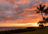 Đại dịch giúp khôi phục thiên nhiên ở Hawaii, thay đổi ngành du lịch