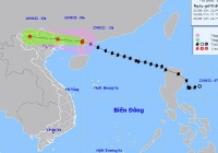 Bão số 3 gây mưa lớn, gió mạnh ở miền Bắc, Hà Nội nguy cơ ngập nước