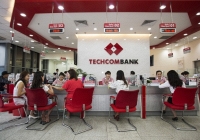 Techcombank dự kiến sẽ chi thêm 10.500 tỷ đồng để cho vay
