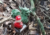 Vụ 2 bộ xương giữa rừng Gia Lai: Hé lộ nguyên nhân 2 cha con tử vong