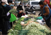 Việt Nam được IMF đánh giá là một 'điểm sáng' trong phục hồi kinh tế