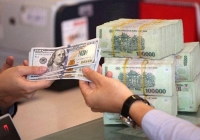 Tâm lý gom giữ USD vẫn ở mức cao, tỷ giá USD/VND gặp nhiều áp lực