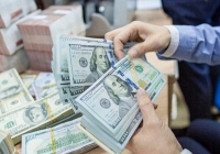 Tỷ giá ngoại tệ ngày 22/11: USD giữ đà tăng