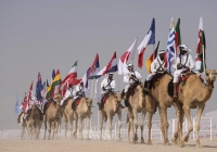 Cuộc thi lạc đà Qatar thu hút du khách bên lề World Cup