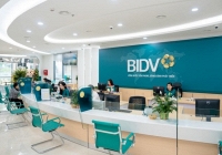 Lãi suất BIDV tháng 2/2023: Cao nhất 7,4 %/năm