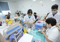 TP.HCM: Số ca mắc sốt xuất huyết tăng gấp 2 so với cùng kỳ