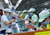 Chính sách mới về nhân sự, việc làm có hiệu lực từ tháng 3/2023