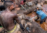 Chín công nhân khai thác vàng người Trung Quốc bị giết ở Cộng hòa Trung Phi